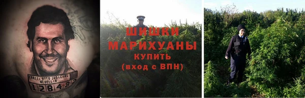 каннабис Алексеевка