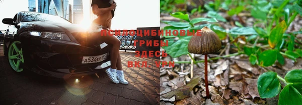 каннабис Алексеевка
