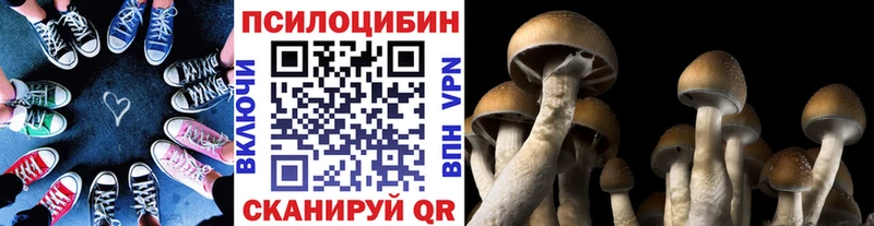 Псилоцибиновые грибы GOLDEN TEACHER  где купить   кракен сайт  Нефтекумск 